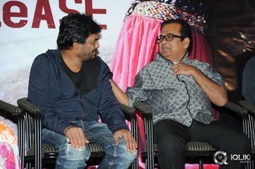 Heart Attack Audio Success Meet